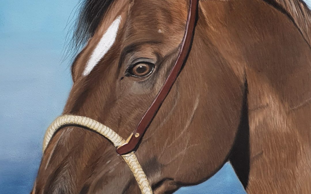 Cheval fond bleu