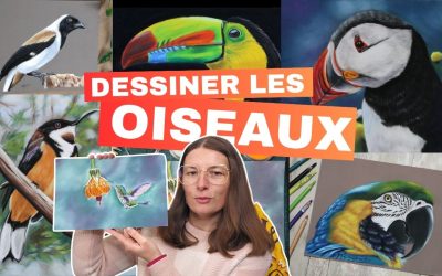 Comment dessiner un oiseau facilement : méthode simple pour débutant
