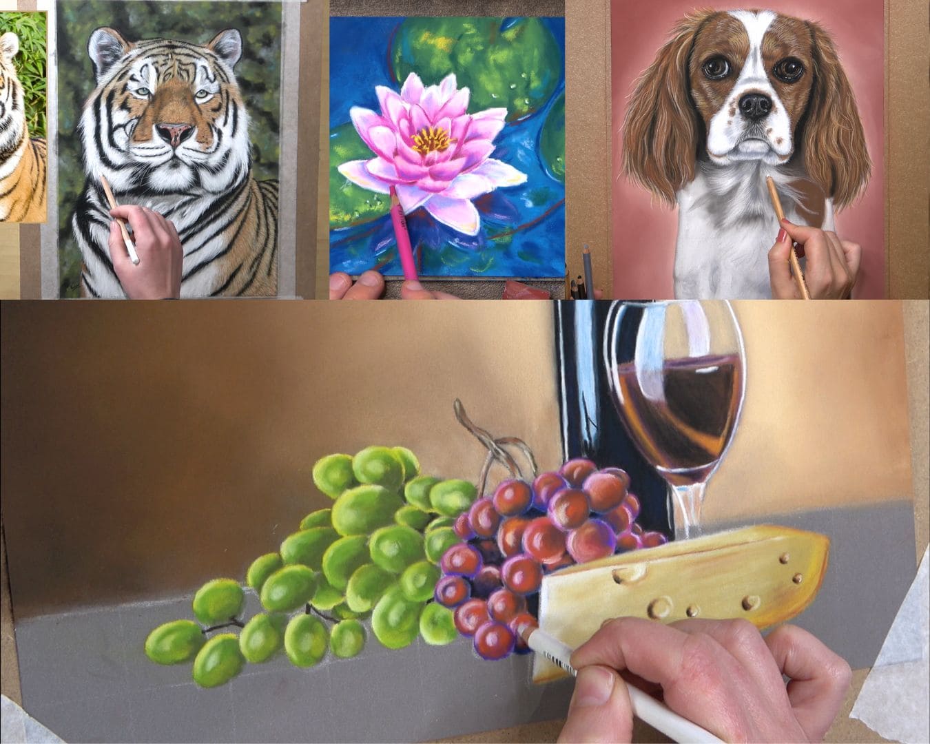 Cours de dessin pastel sec pour débutant par Céline Vasseur