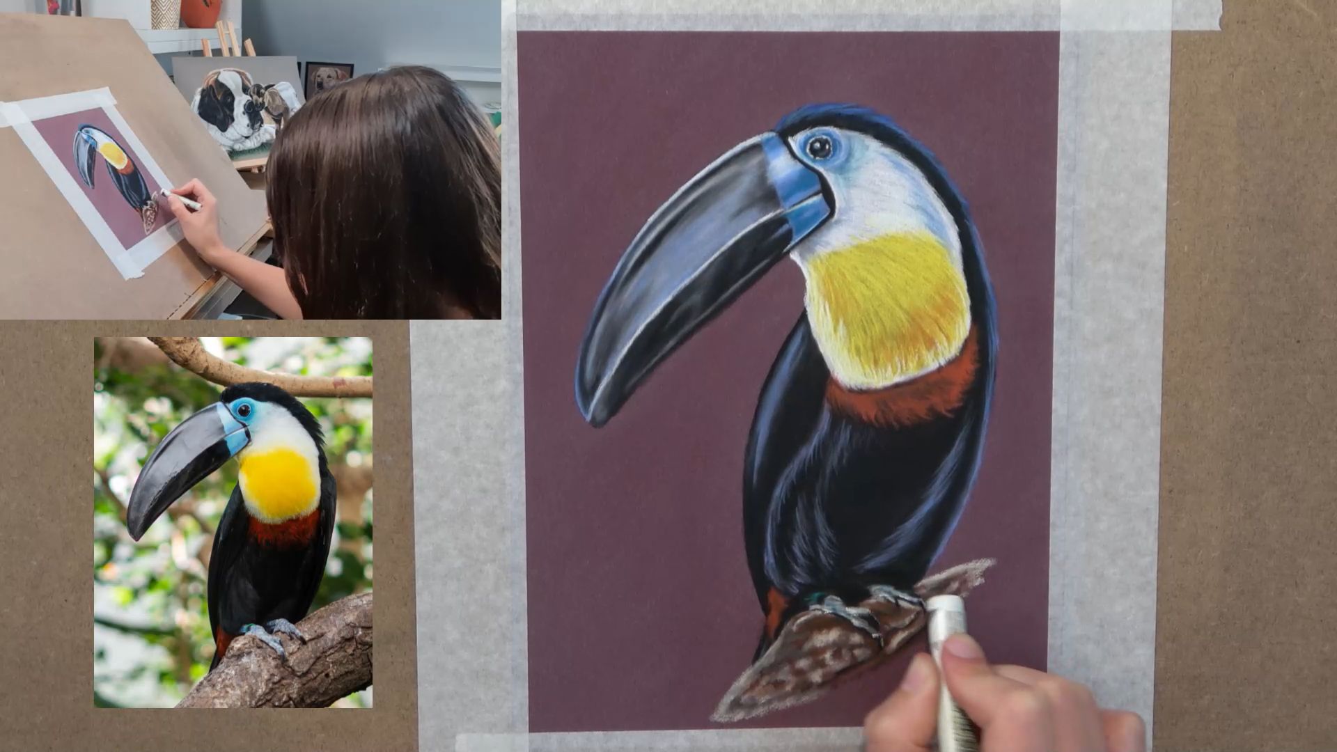 Cours de dessin pastel sec pour débutant par Céline Vasseur