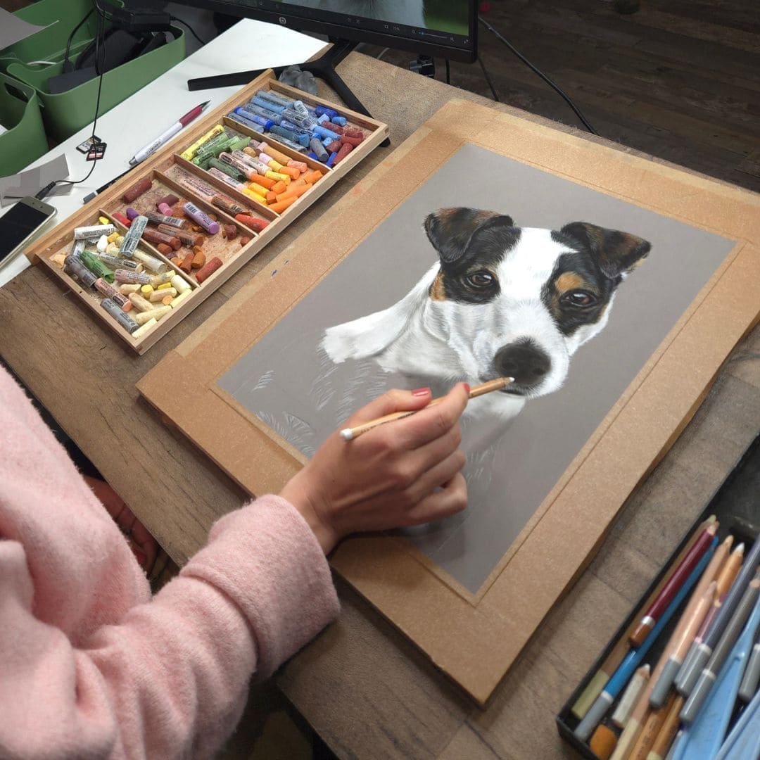 Cours de dessin pastel sec d'un chien Jack Ruselle pour débutant à intermédiaire par Céline Vasseur
