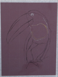 dessiner facilement un oiseau toucan avec la méthode des quadrillages par Céline Vasseur