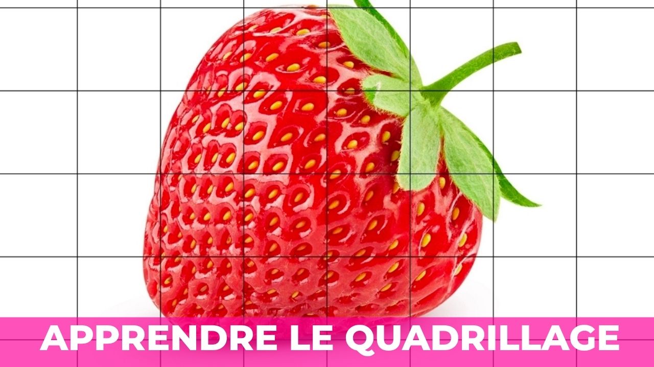 apprendre le quadrillage facilement avec une image