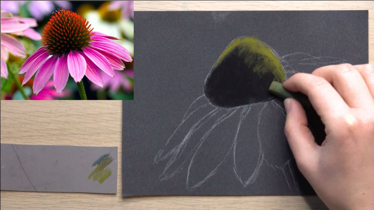 Guide matériel et cours offert d'une fleur échinacée aux pastels secs
