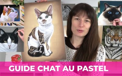 Peindre un chat au pastel sec : guide étape par étape