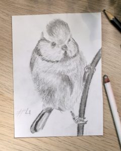 réussir son dessin d'un oiseau au crayon facilement