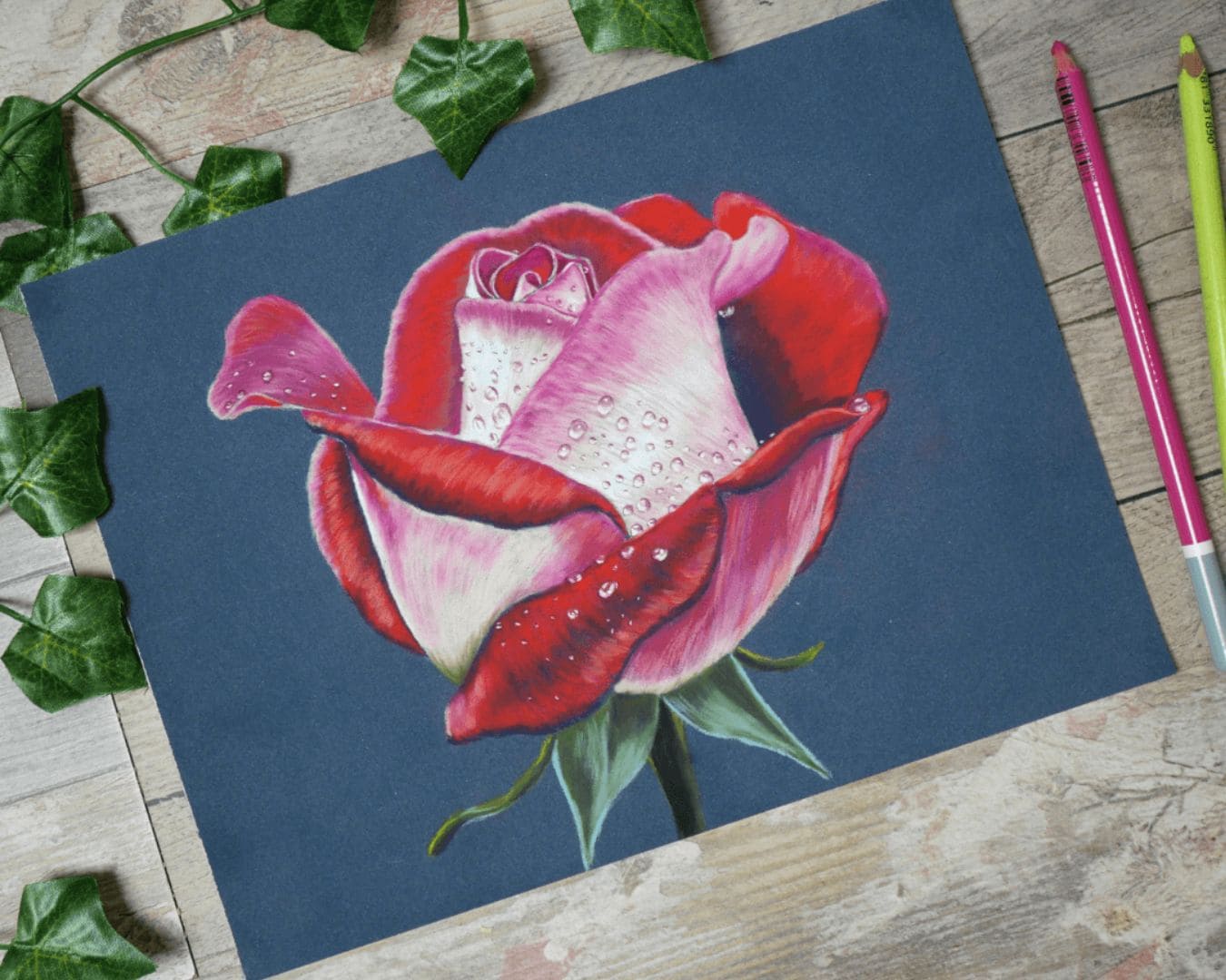 dessin au pastel sec d'une rose avec des gouttes d'eau cours en ligne par Céline Vasseur