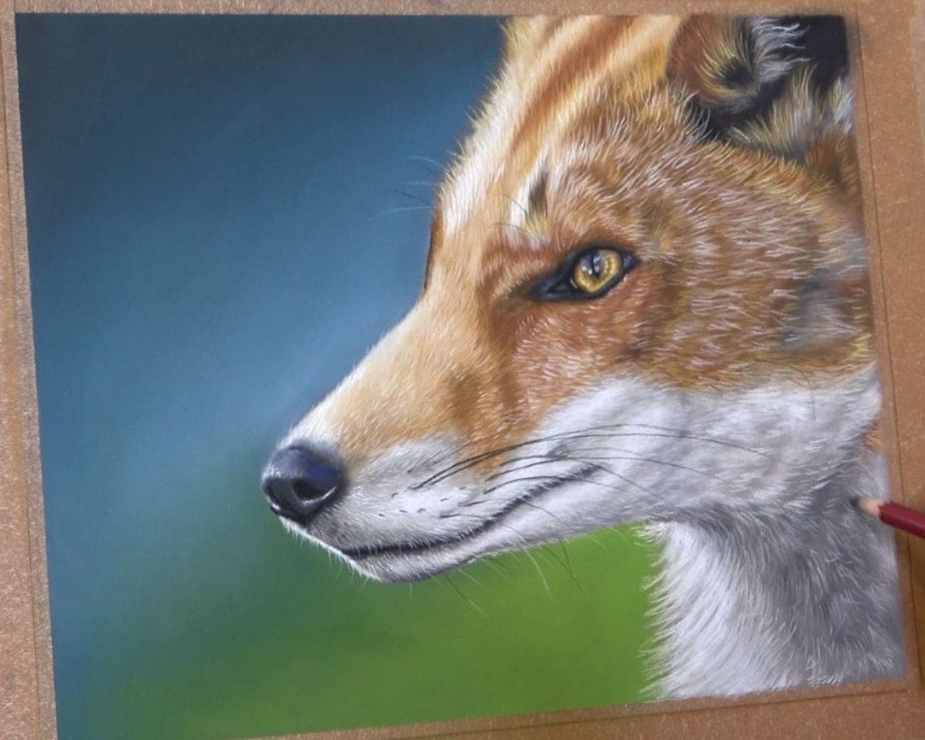 pastel sec d'un renard avec un fond coloré cours en ligne par Céline Vasseur