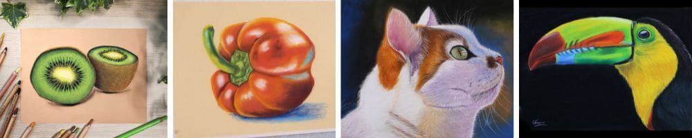 Modèle de dessin aux pastels secs avec un kiwi, un chat, un toucan et un poivron ainsi que d'autres sujets