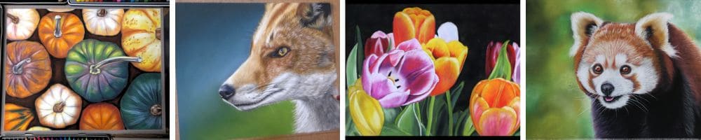 Choix de modèle au dessin pastel sec, des citrouilles et courges, un renard, des tulipes, un panda roux et d'autres modèles