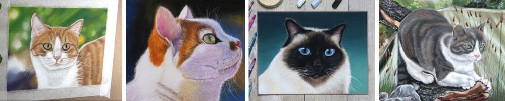 modèle de dessin au pastel sec de chat de différentes fourrure avec des fond coloré par Céline Vasseur