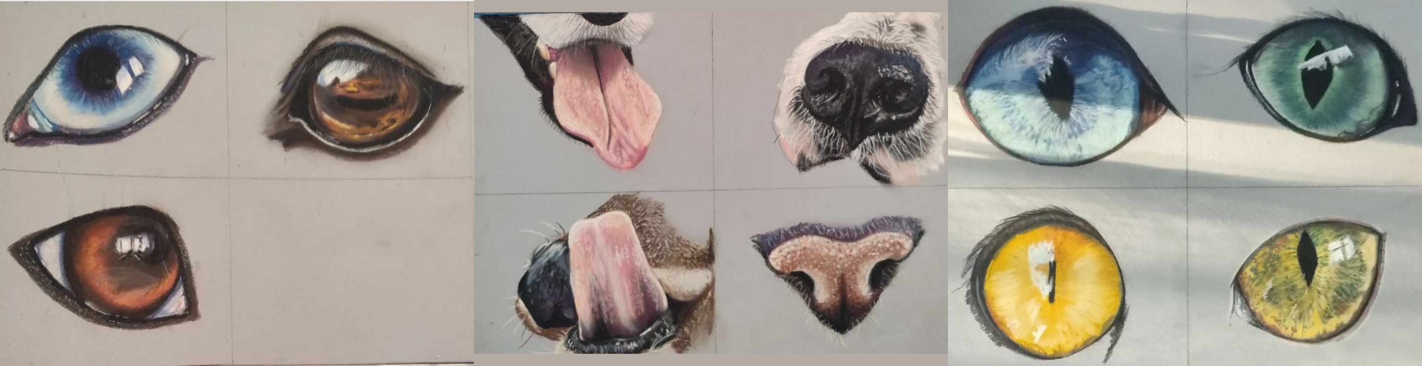 Témoignage élève – Portrait animalier au pastel sec Témoignage d’une élève sur la formation de portrait animalier au pastel sec
