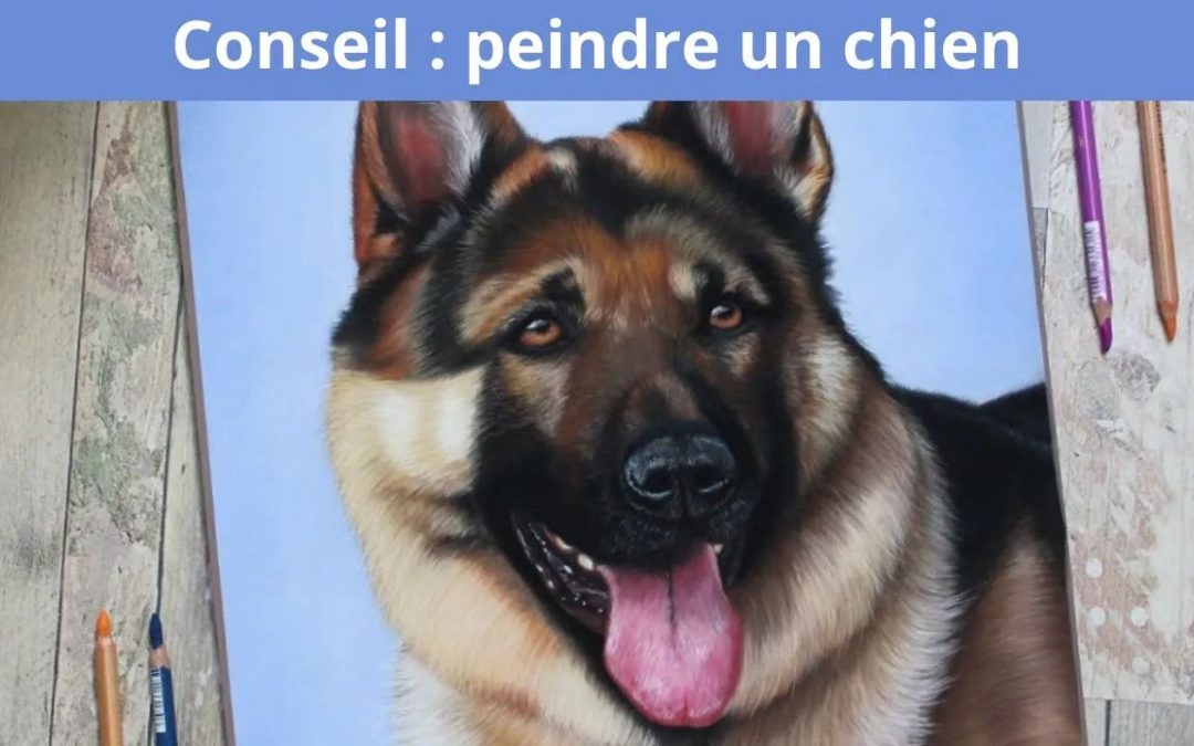 Dessin berger allemand au pastel sec : guide pour débutants