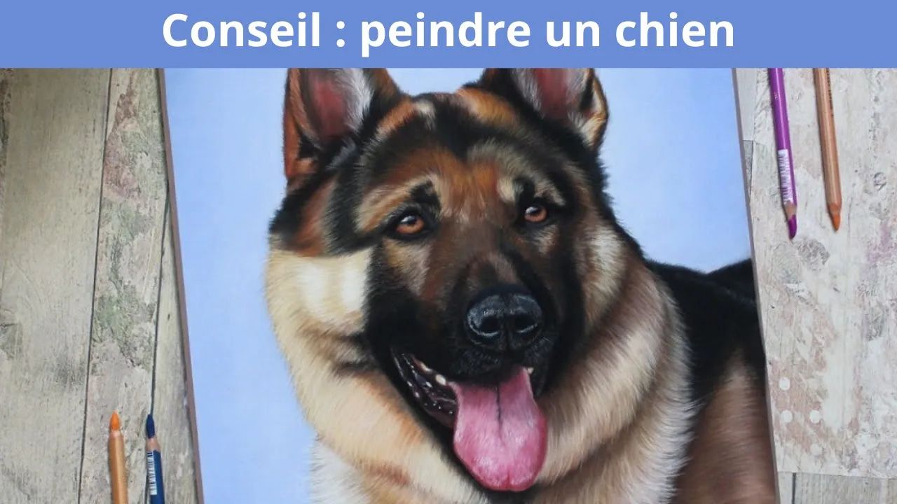 Dessin berger allemand au pastel sec : guide pour débutants