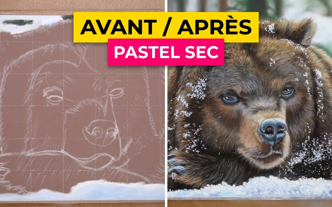 Ours pastel sec : 7 étapes pour dessiner un ours brun réaliste