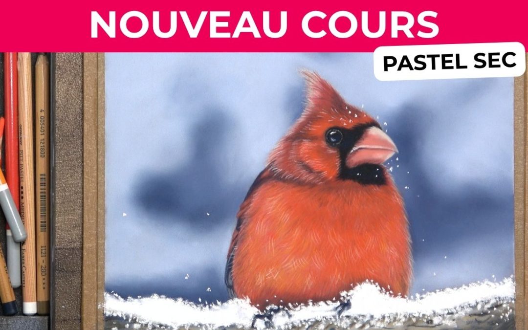 Cardinal rouge peint au pastel sec sur une branche enneigée, avec un plumage détaillé aux crayons pastel.