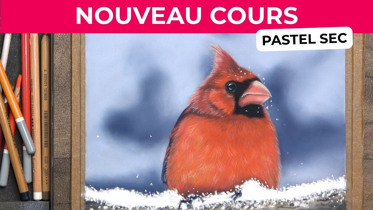 Cardinal rouge peint au pastel sec sur une branche enneigée, avec un plumage détaillé aux crayons pastel.