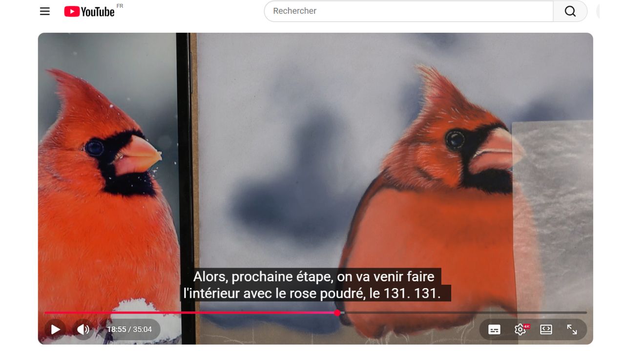 Cours de pastel sec en vidéo 4K montrant la réalisation d'un cardinal rouge, avec les numéros des crayons pastel affichés dans les sous-titres.