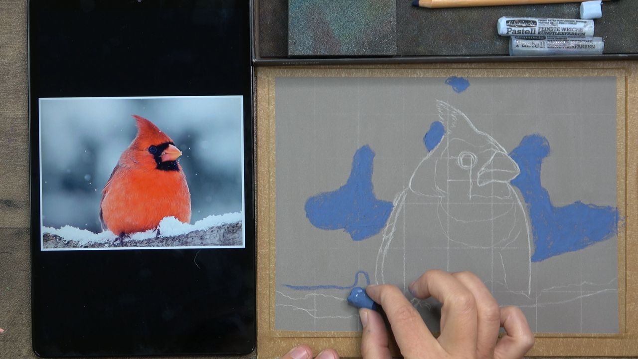 Réalisation d'un fond doux au pastel sec avec des bâtonnets Schmincke pour peindre un cardinal rouge dans un décor enneigé.