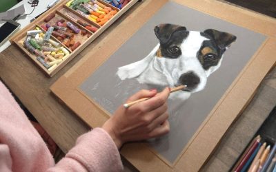Comment dessiner un chien réaliste au pastel sec en format 30×40 cm : la méthode complète pour obtenir un rendu vivant et professionnel